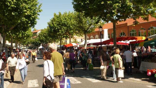 Marché de Samatan, Savès