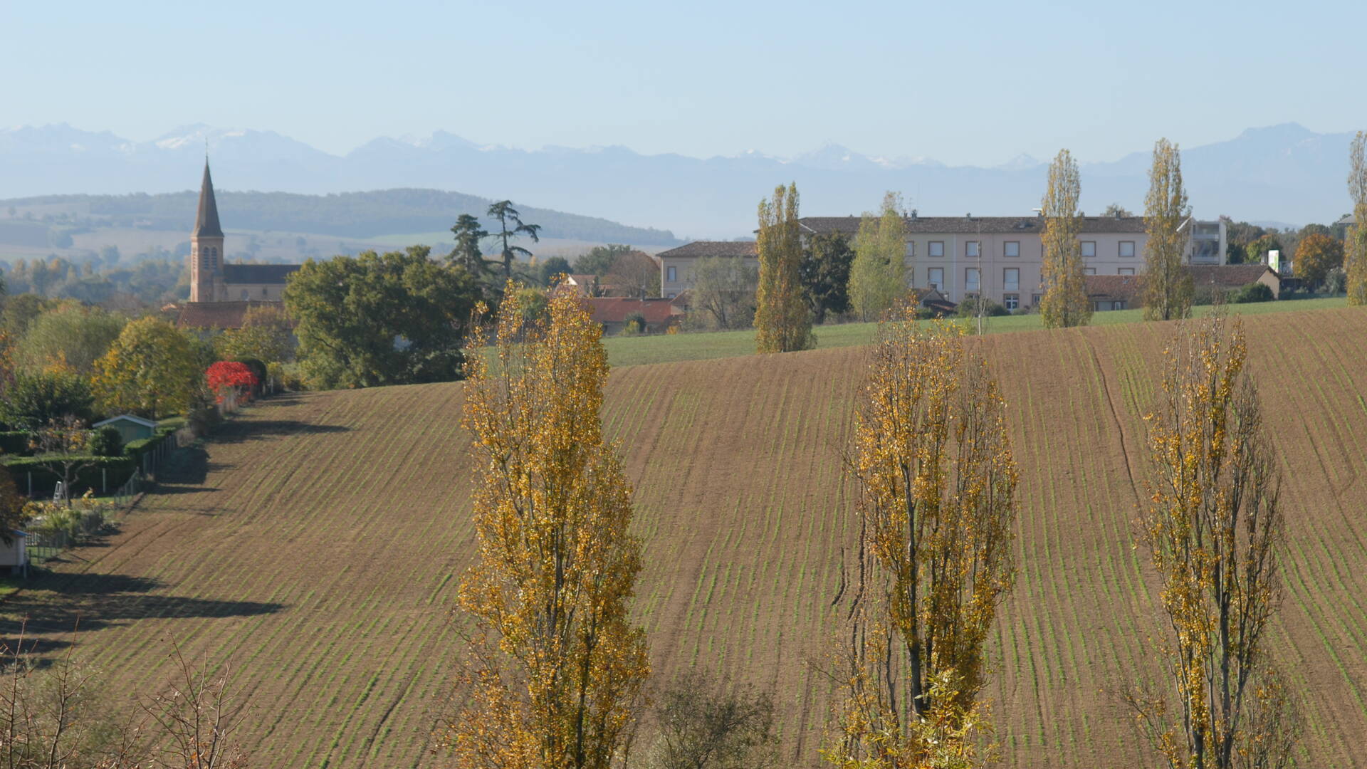 Vue sur les Pyrénées et champs, Savès