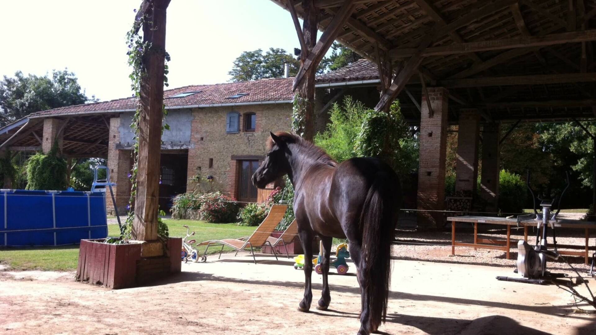 Horse, Gîte "Micalon" ***,  Gaujac, Lombez, Samatan, Savès, Gers, Gascogne, France