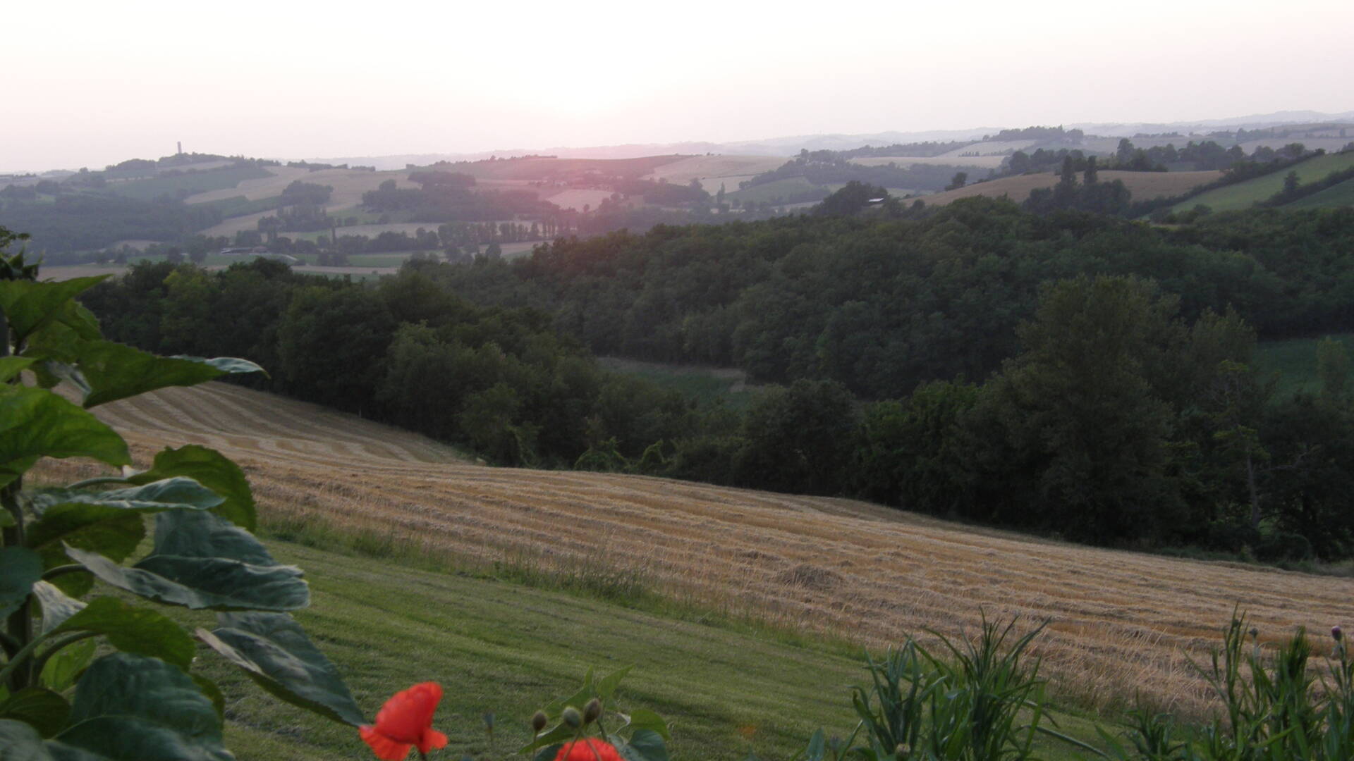 View from the B&B "le Barraqué", Laymont, Lombez, Samatan, Savès, Gers, Gascogne, France