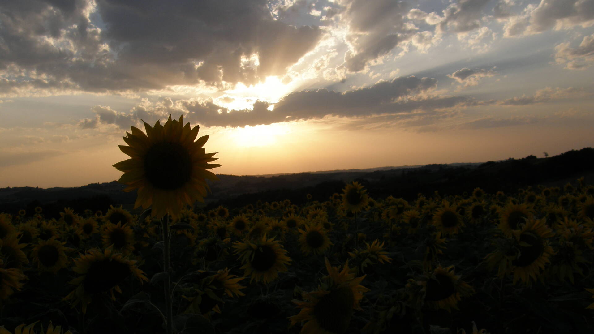 Sunset at the B&B "le Barraqué", Laymont, Lombez, Samatan, Savès, Gers, Gascogne, France