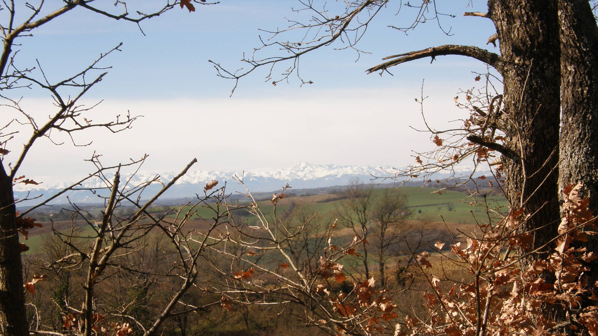 View from the B&B "le Barraqué", Laymont, Lombez, Samatan, Savès, Gers, Gascogne, France
