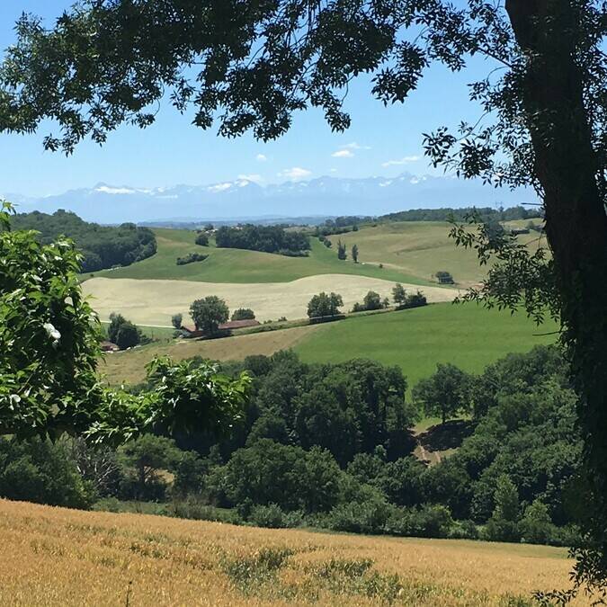 Vue sur les Pyrénées, Montamat, Savès