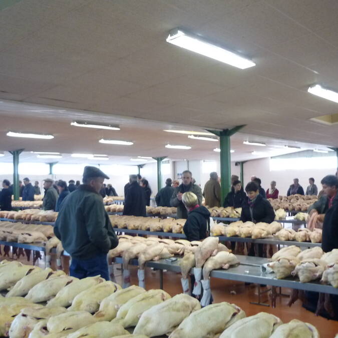 Marché au Gras, Samatan, Savès