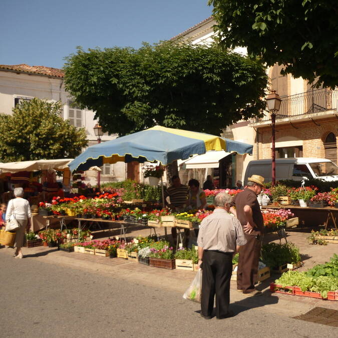 Marché de Samatan, Savès