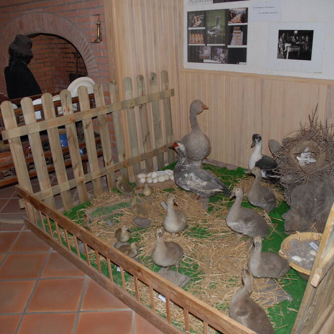 Musée du Foie Gras, Samatan, Lombez, Savès, Gers, Gascogne, France